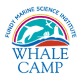 Whale Camp